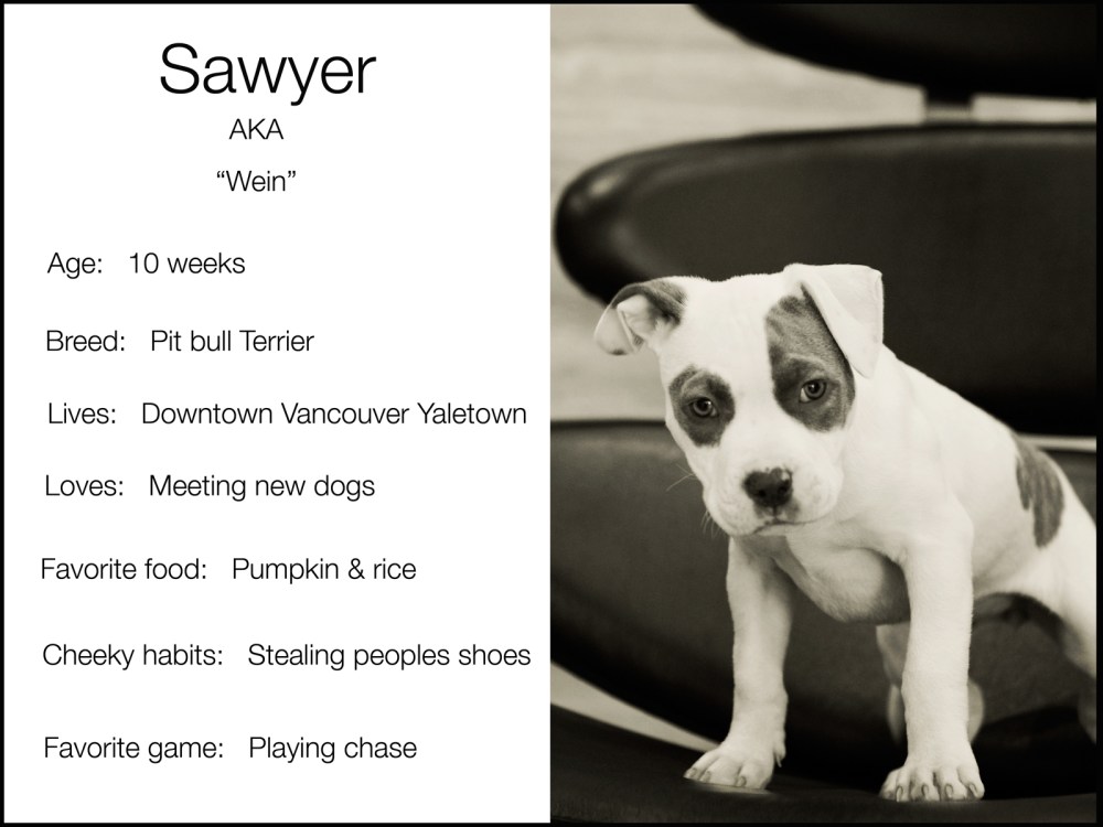 Black sawyer blurb low