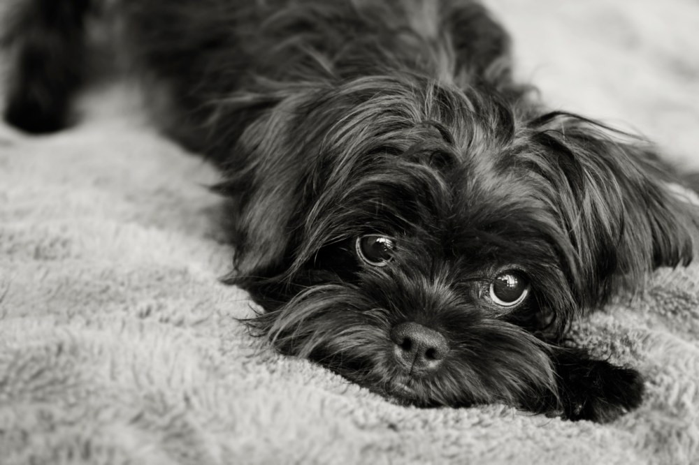 ler- 014 B&W Vintage 33 low