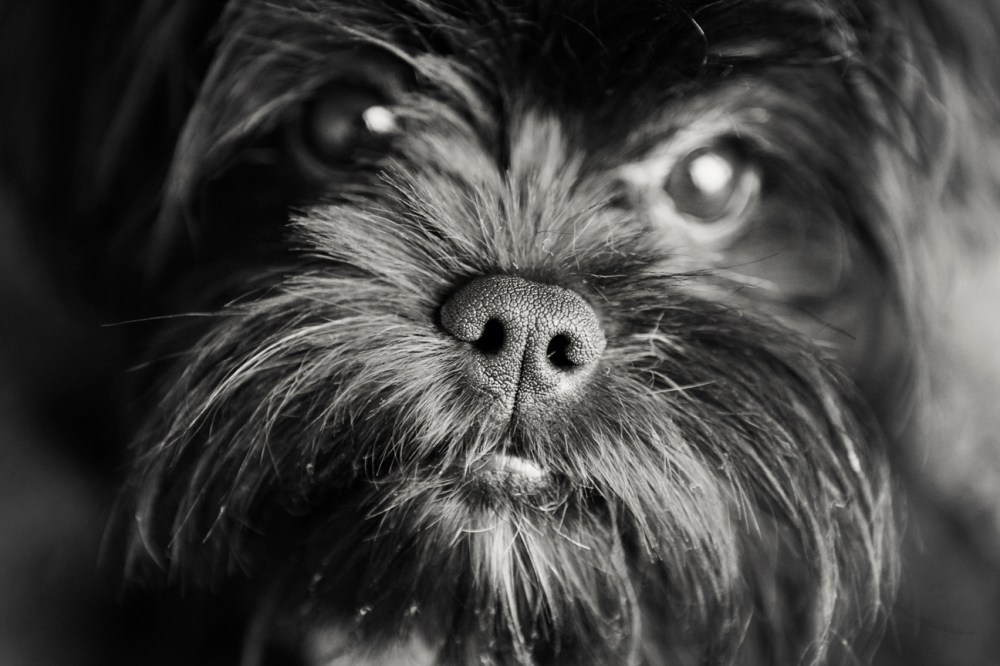 ler- 018 B&W Vintage low