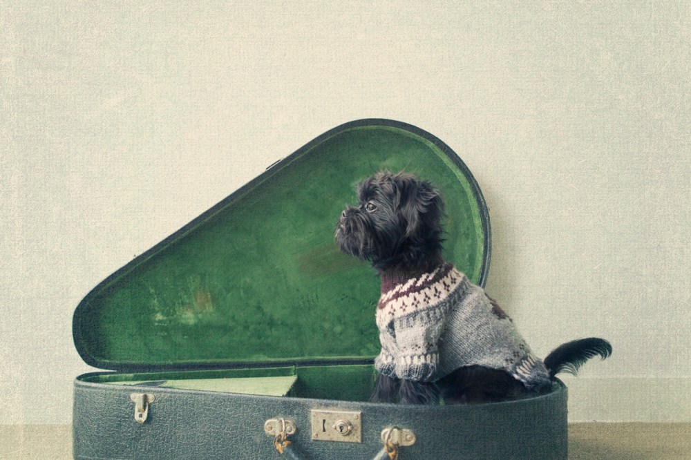 ler- 271 soft urban 63 TL low