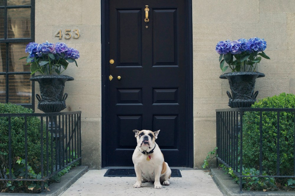 Moo- 028-26 soft urban teal  low