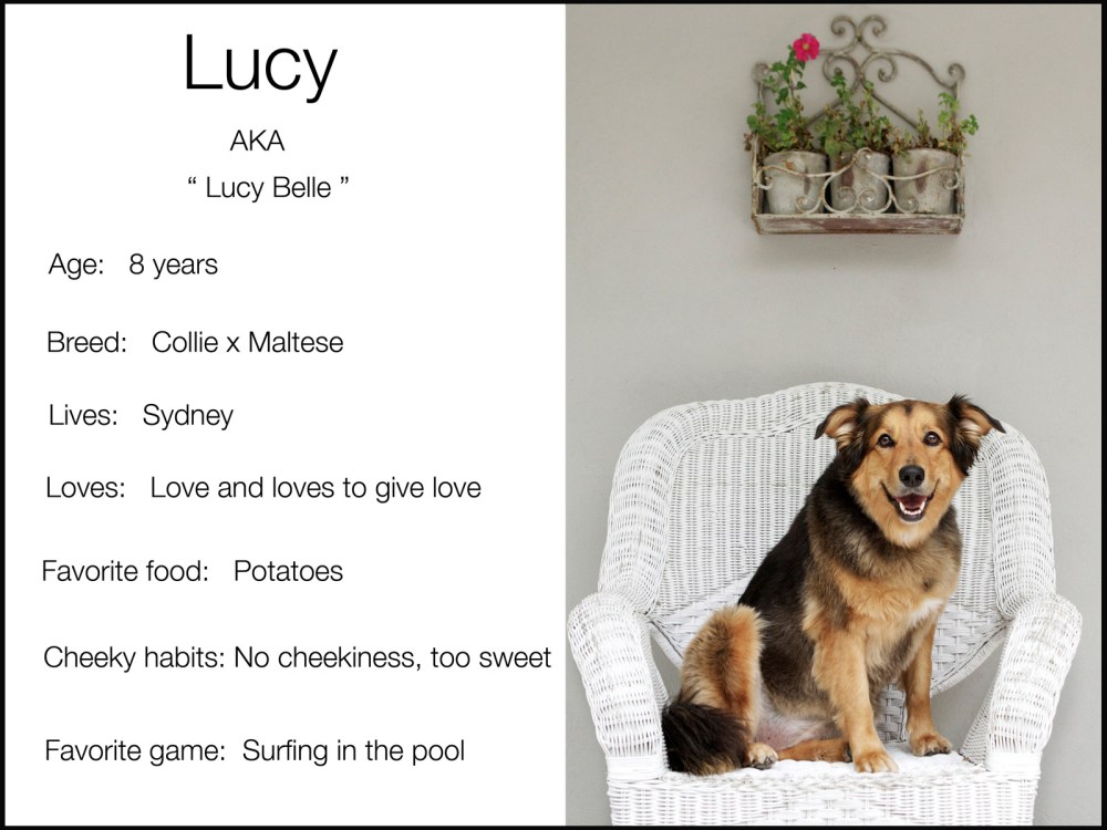Black lucy blurb
