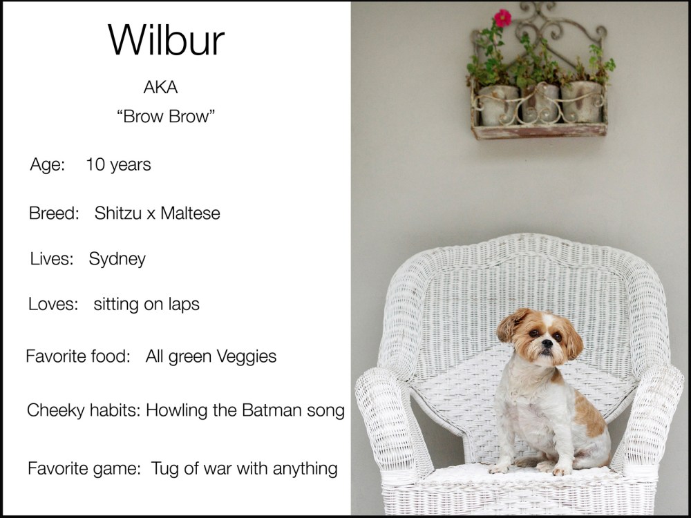 Black wilour blurb copy