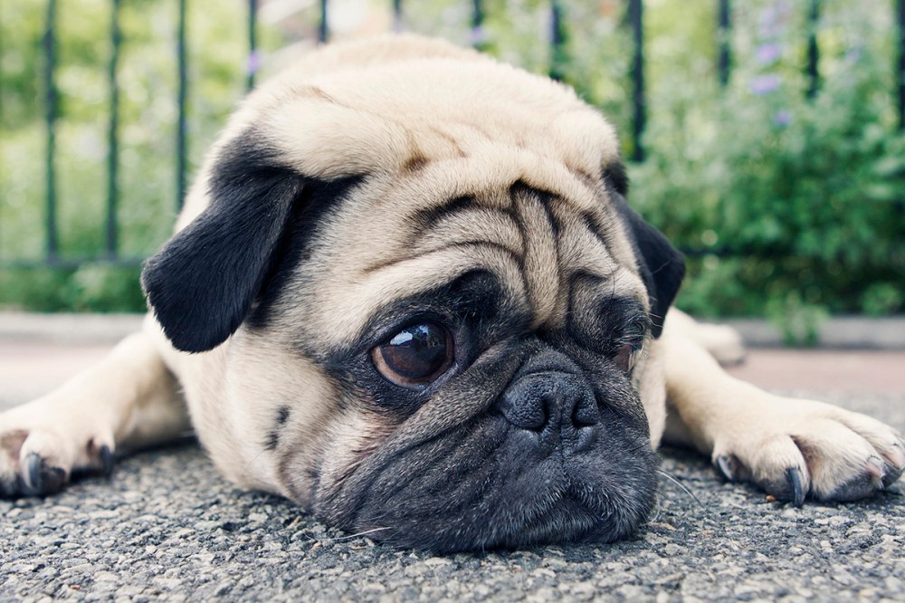 Kristie Lee Photograher 11