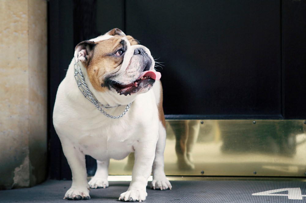 Tug- 050 sweet col low