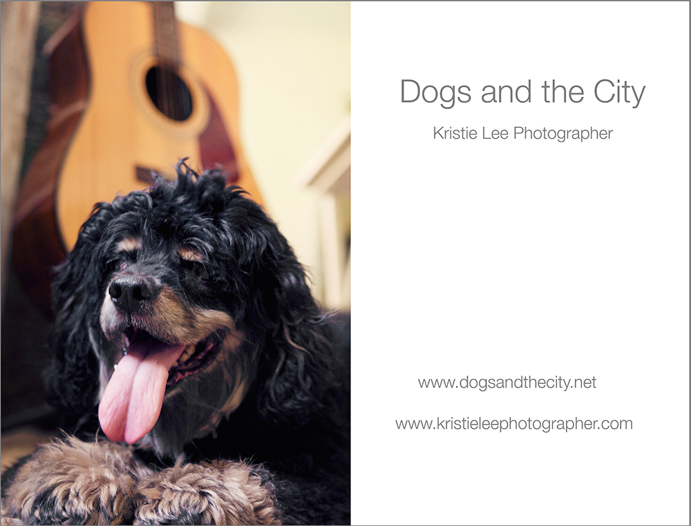 Grey 12.98 x 17 dylan