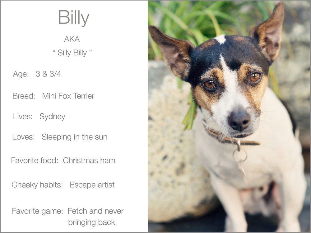 Billy blurb
