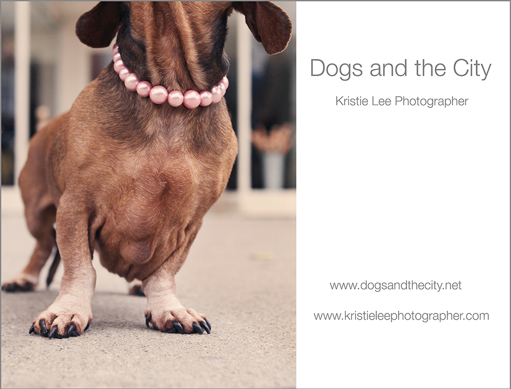 grey background pincus KLP