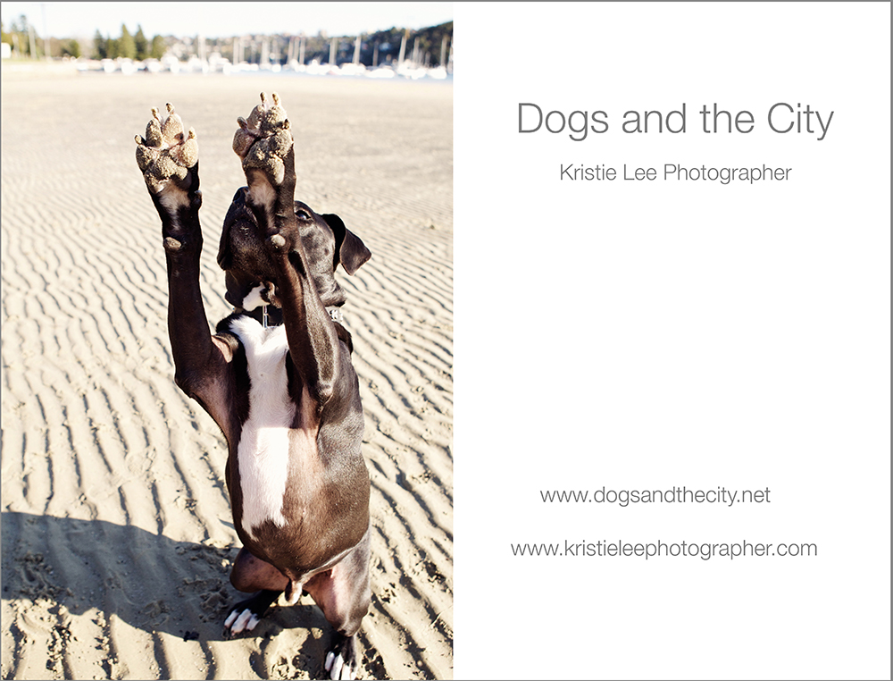 Kristie Lee dogsandthecity eddie