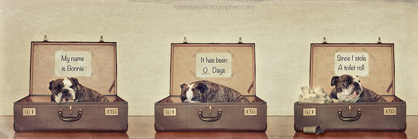 Kristie Lee-Image-D L