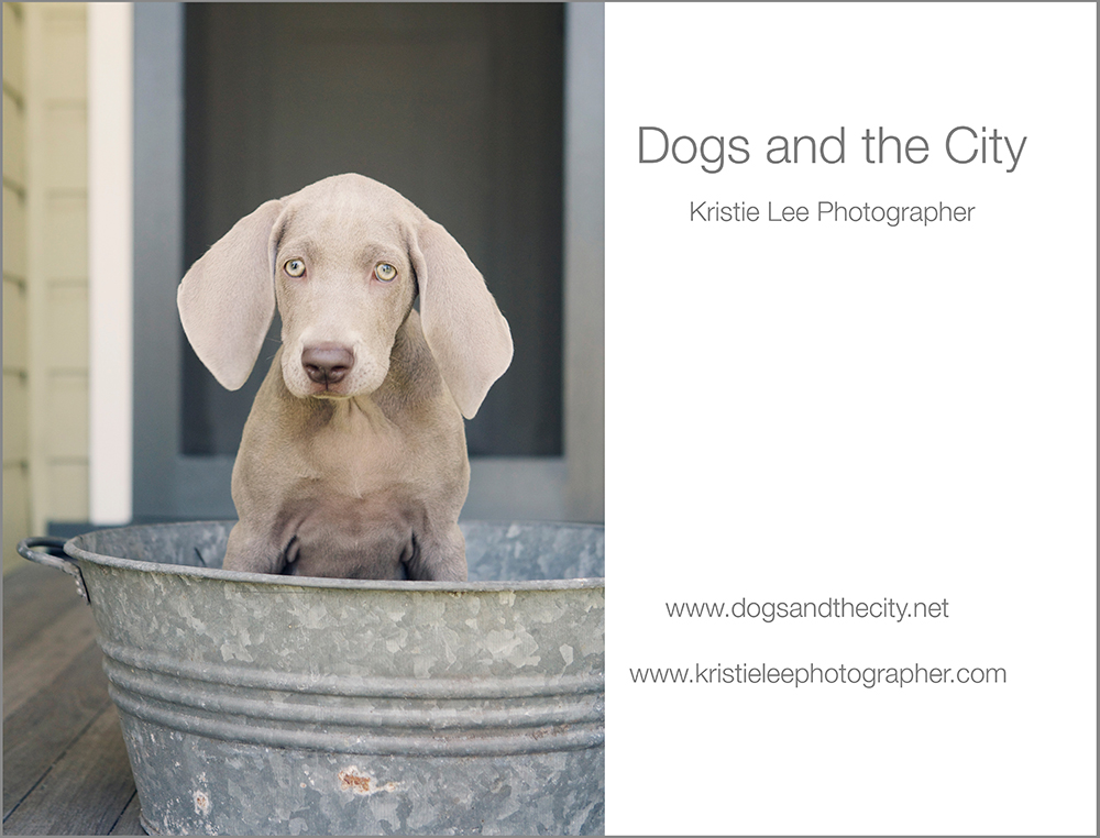 Kristie Lee Photographer Charlie