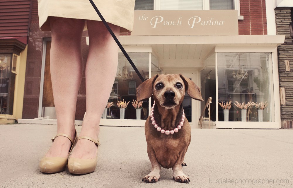 Kristie Lee Photographer dogsandthecity.net