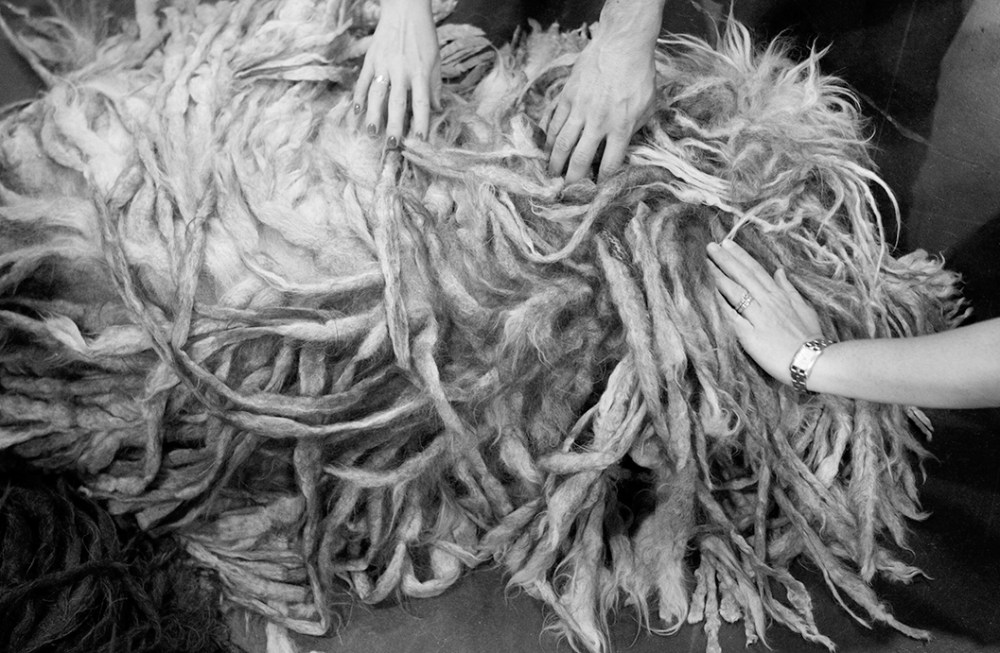 Bergamasco Kristie Lee B&W 2