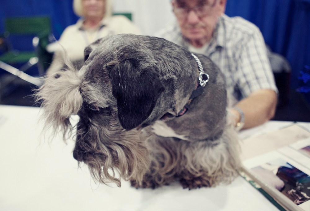 chezch 2 kristie lee sushi