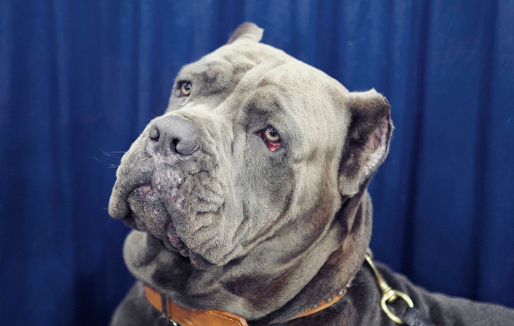 Corso Kristie lee sushi