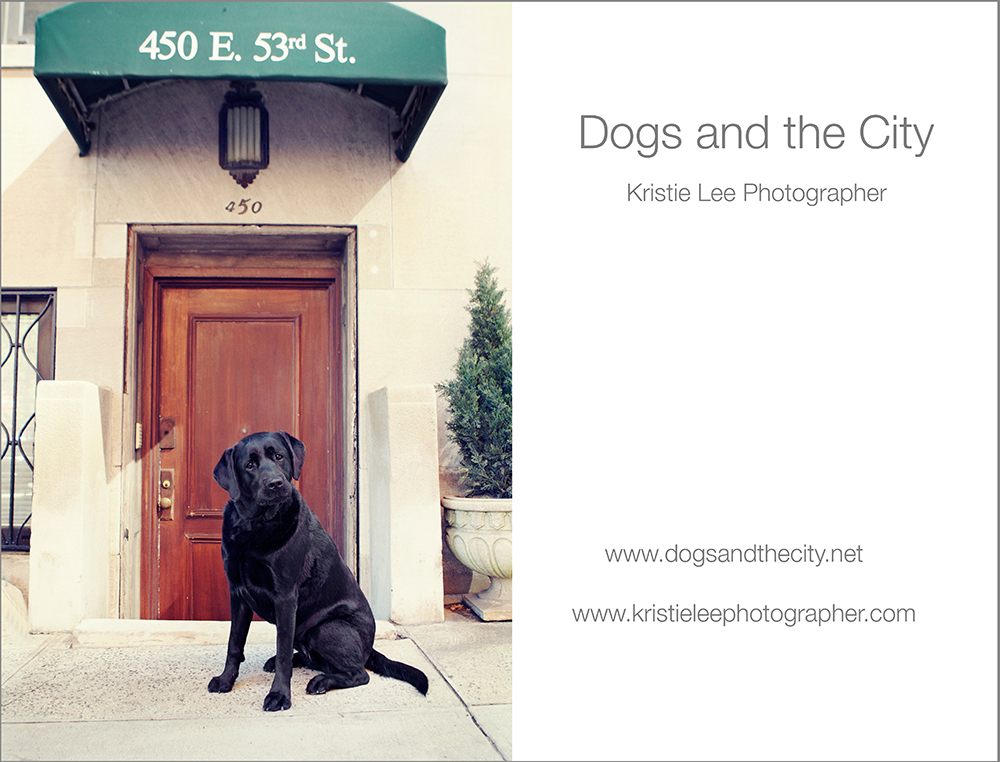 Dogsandthecity Kristielee