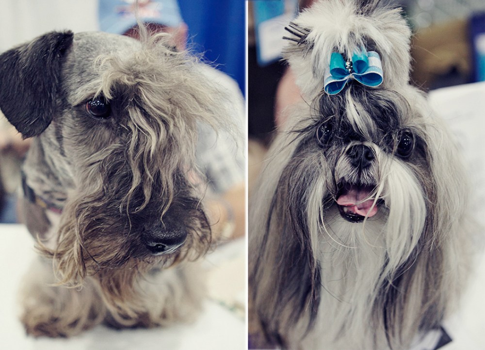 Hair do's & don't's KLP