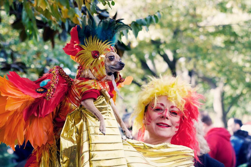 HDP Kristie Lee- 131