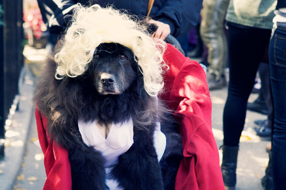 HDP Kristie Lee- 157