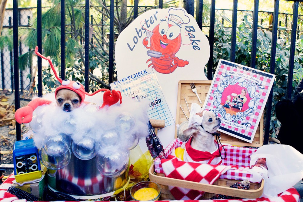 HDP Kristie Lee- 170