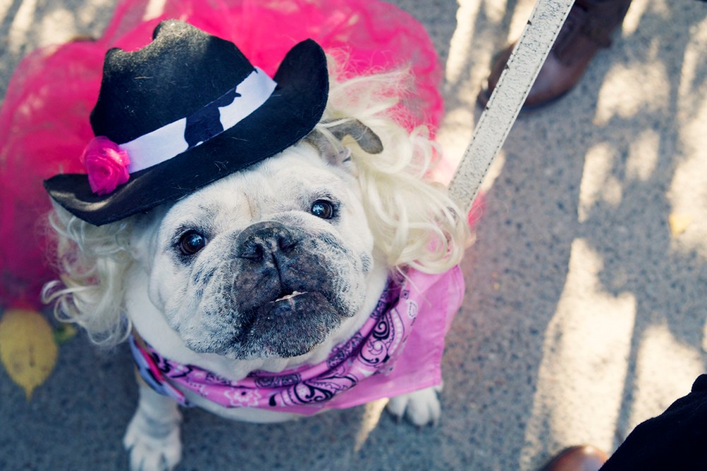 HDP Kristie Lee- 199