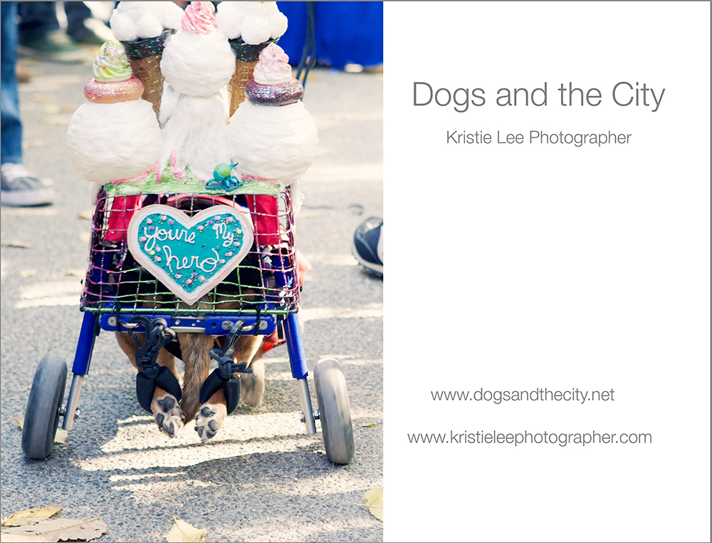 Kristielee dogsandthecity