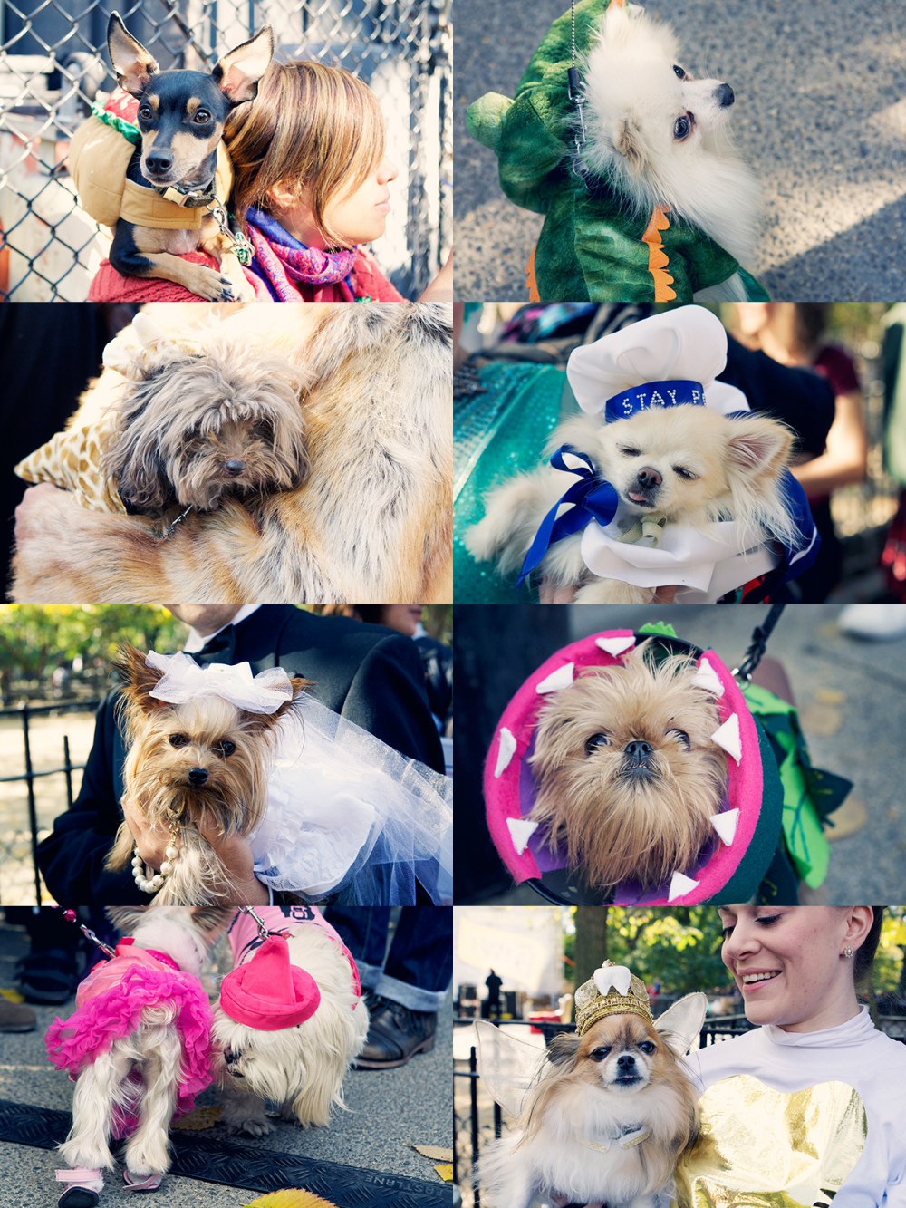 Kristieleephotographer03