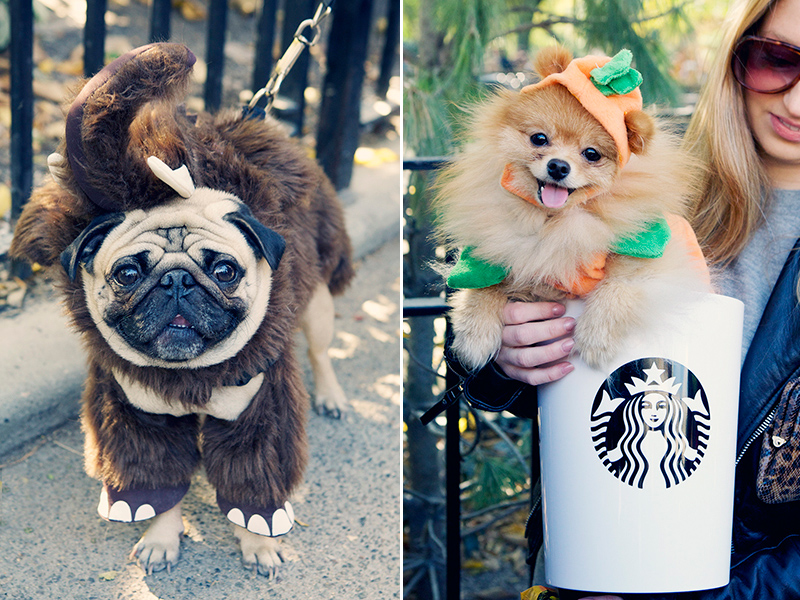 Kristieleephotographer06