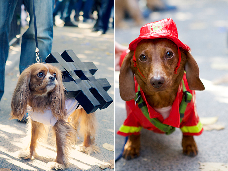 Kristieleephotographer07