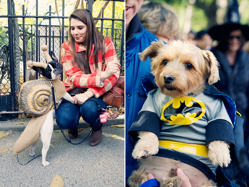 Kristieleephotographer08