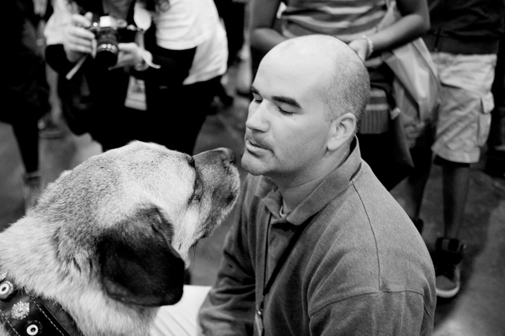 meet the beeds 2013 B&W