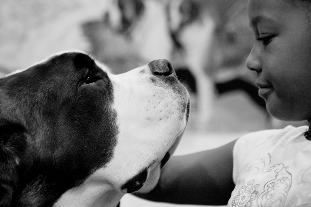 meet the breeds B&W 3