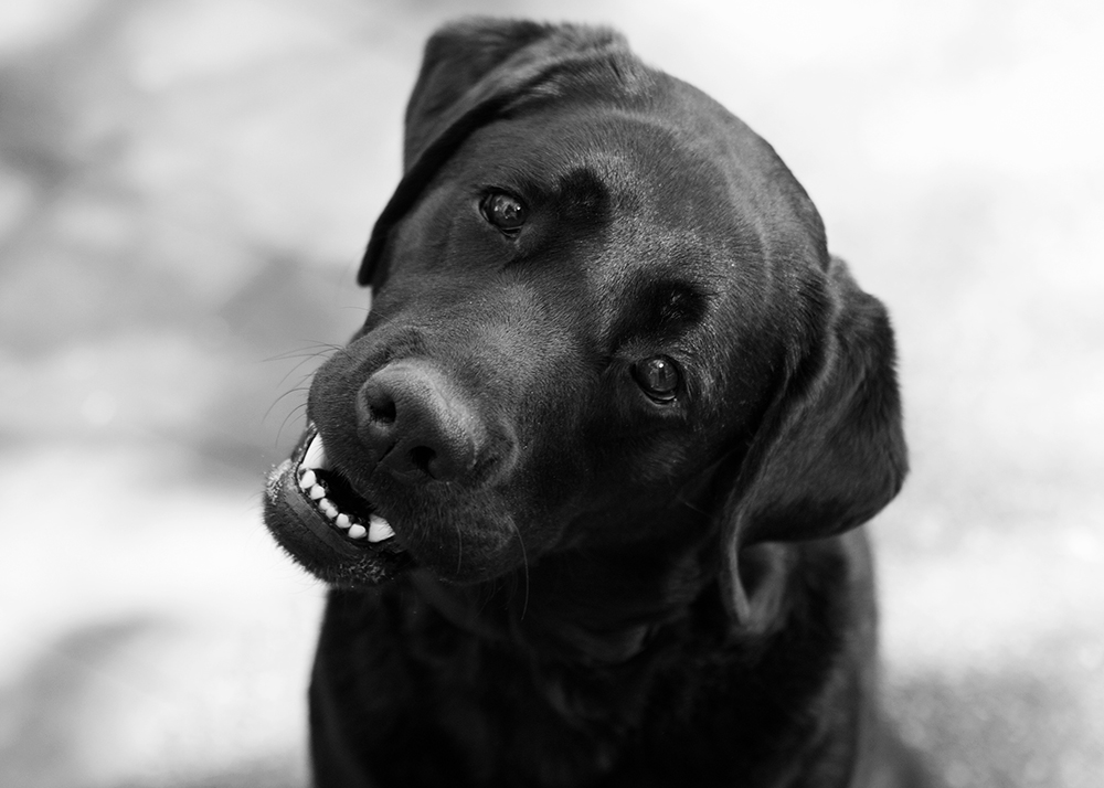 Val- 050 Kristie lee