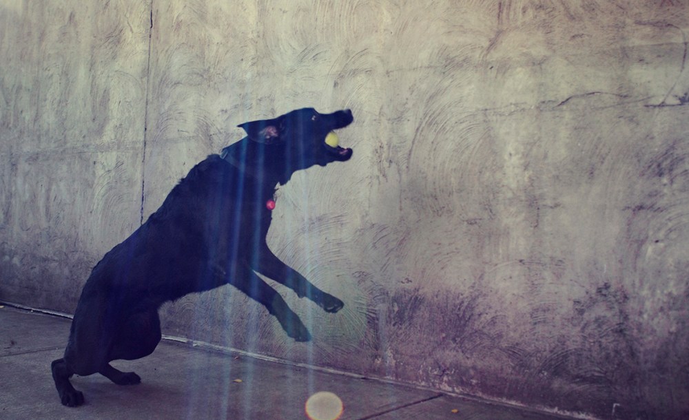 Val- 079 Kristie lee