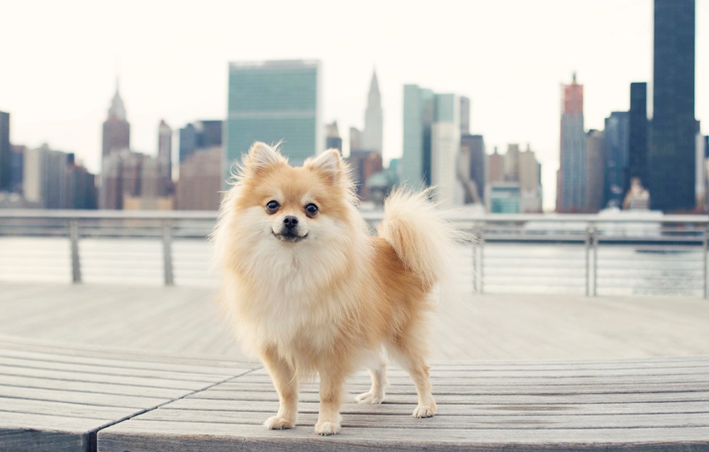 Fra & Mia- 004 cosmo