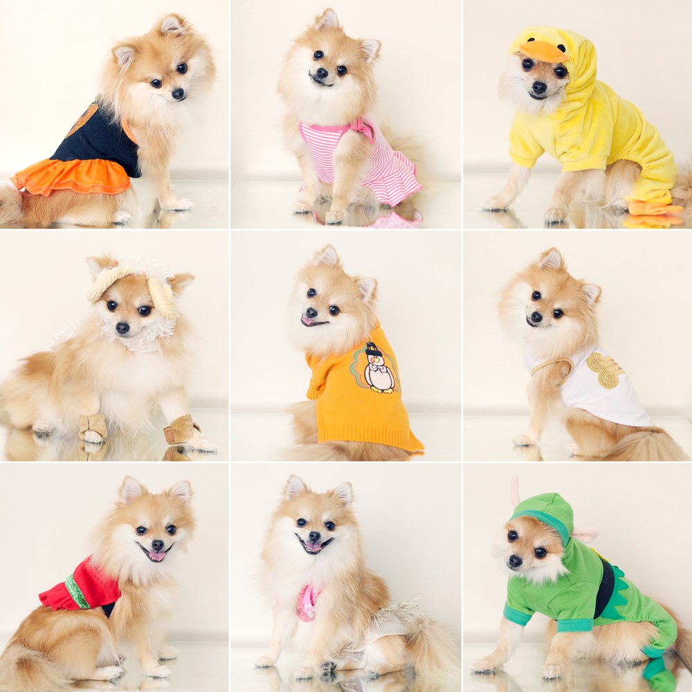 Mia 9 kristieleephotographer