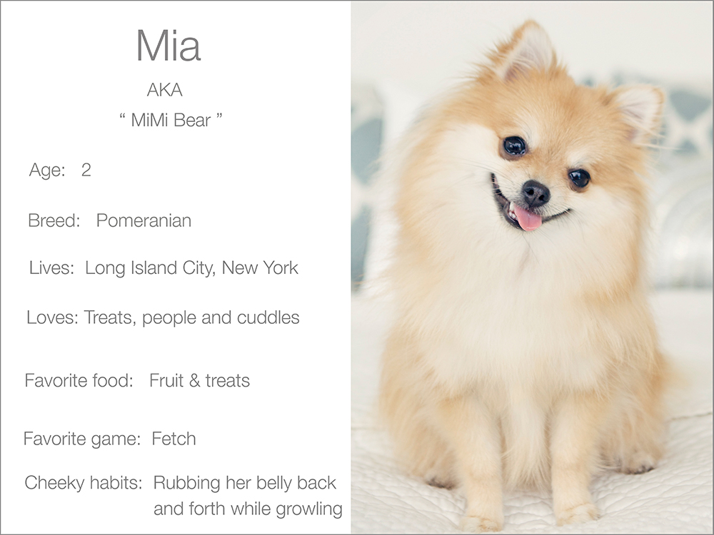 Mia blurb dogsandthecity