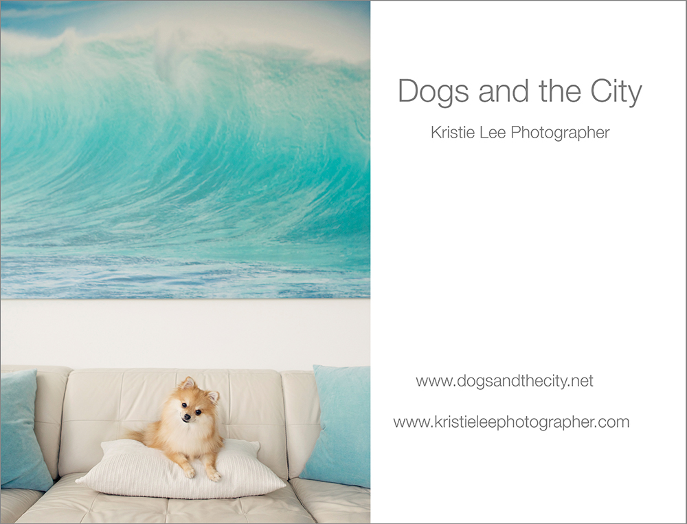 Mia dogsandthecity 1