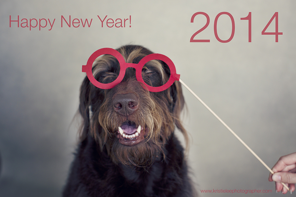 Kristie Lee Photographer happy new year