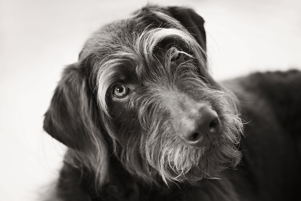 sun- 005 kristieleephotographerB&W