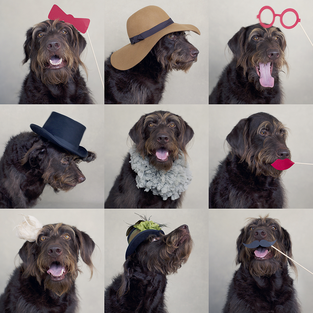 Sunny 9 kristieleephotographer