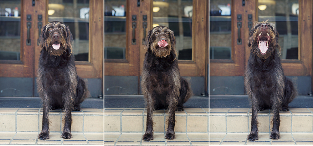 Sunny trilogy kristieleephotographer