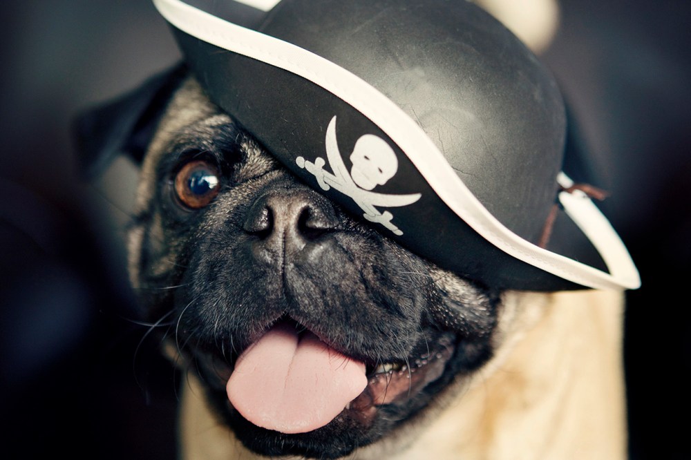 Tom- 026 Kristie lee Photographer