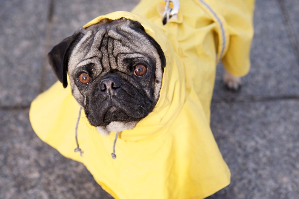 Tom- 117 kristie lee photographer