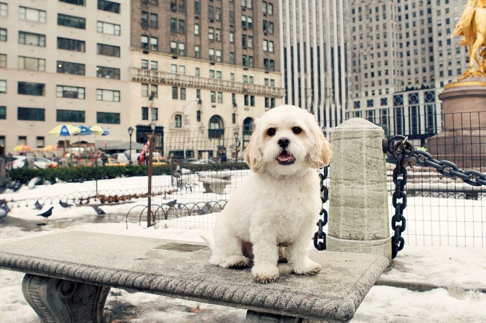 Oli- 018 Kristie Lee Photographer