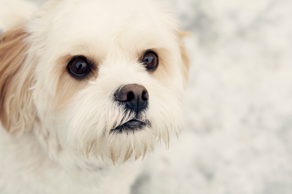 Oli- 051 Kristie Lee Photographer