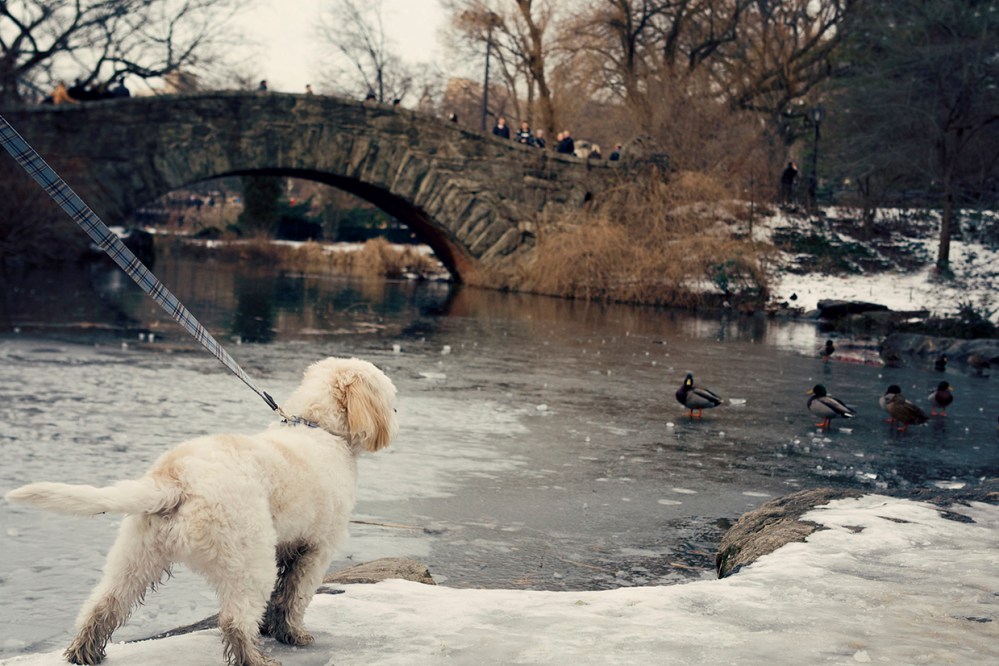 Oli- 063  Kristie Lee Photographer