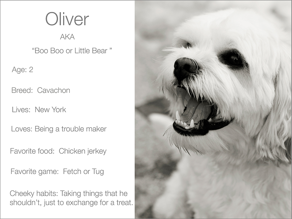 Oliver profile  Kristie Lee Photographer