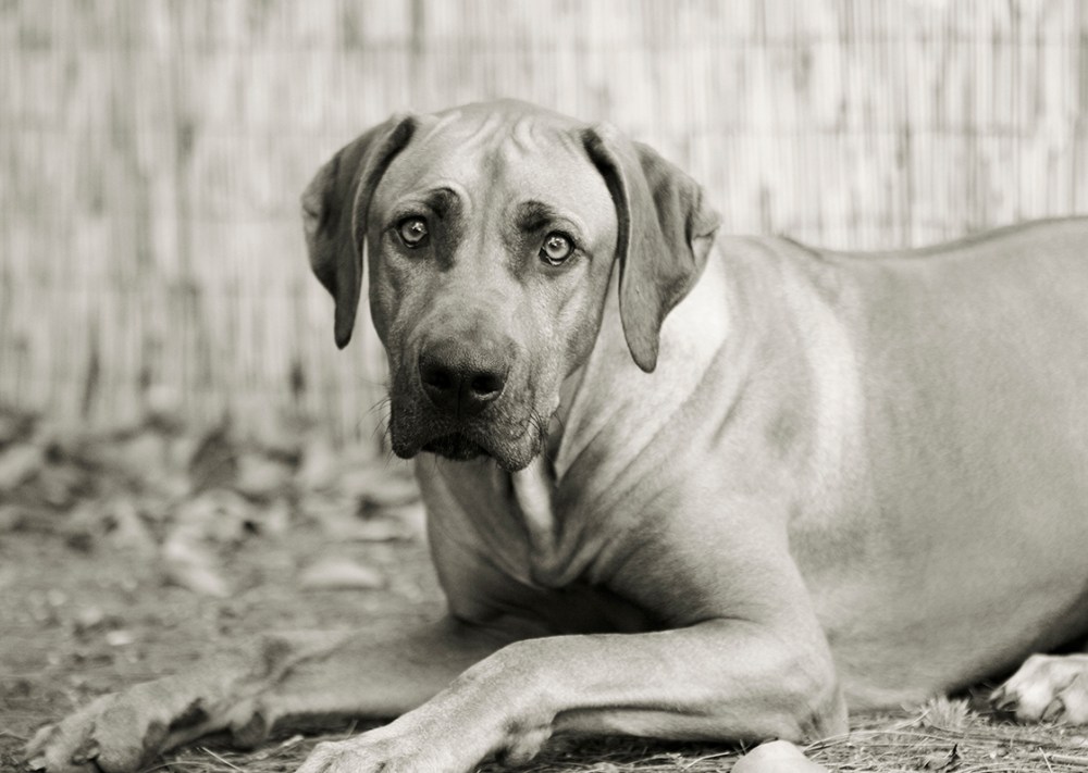 Tan- 046 Kristie lee Photographer B&W