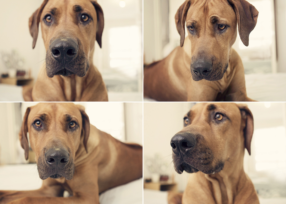 Tank 4 Kristieleephotographer